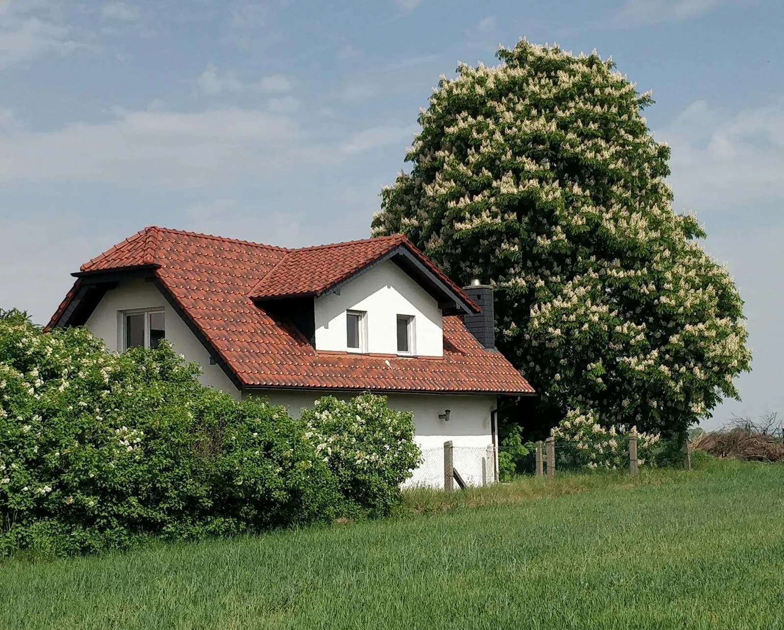 Dachgaube & Eindeckung